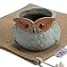 UName Micro Landscape Succulent Plants Creative Flower Planters, Mini Plants Pot, Ceramics Decoration, Handmade, Small Plant Containers, Owl Design Succulent Planter,Green. (leaf-shape eye owl)UN234