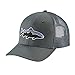 Patagonia Fitz Roy Trout Trucker Hat