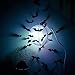 Unomor Halloween Decorations Bat Wall Decorations 60PCS 3D Bats Wall Decal, Halloween Home Window Decorations-60PCS/4 Size