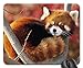Red Panda Mouse Pad, Mousepad