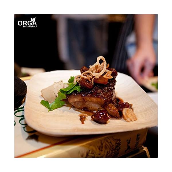 ORGA-ECO-FRIENDLY-PRODUCTS-Palmware-leaf-tableware-I-25-pieces-Palm-Plate-rectangular-25-x-25-cm-I-Bio-Disposable-Crockery-Biodegradable-Party-tableware-disposable-tableware-10-inch-No-of-25-Plates ORGA ECO-FRIENDLY Products Palmware Leaf Tableware I 25 Pieces Palm Plates Rectangular 25 x 25 cm I Bio Disposable…