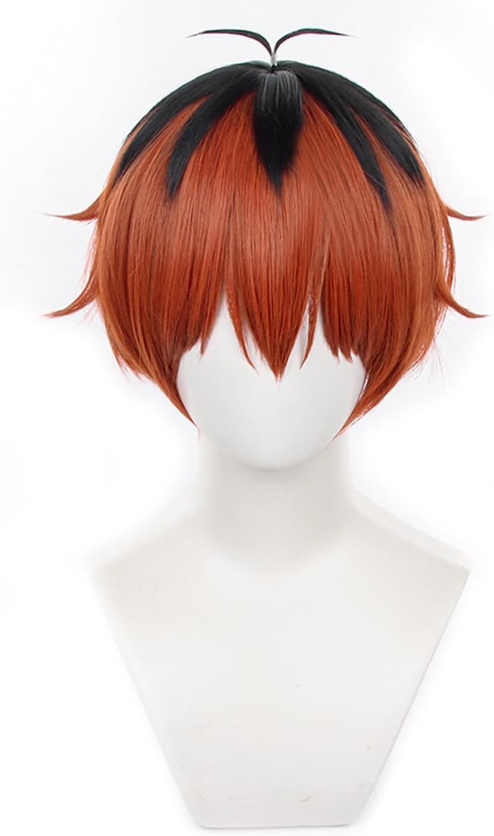 ZGNGLIZ Anime Frieren Cosplay Wig for Sousou no Frieren, Long Silver White Hair Wigs with 2 Removable Ponytails for Women and Girls (Stark)