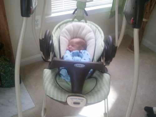 graco duo swing and bouncer