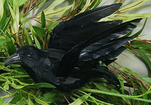 Artificial Black Feather Flying Crow with Attached Clip for Displaying, Crafting and Embellishing