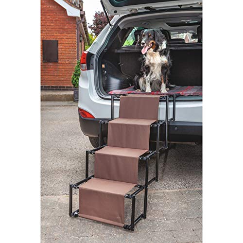 raygar dog ramp