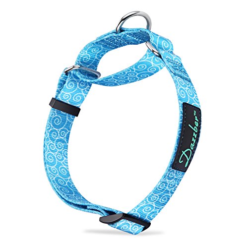 Dazzber Martingale Collars for Dogs, Sky Blue, Large, Neck 17"-25", Dog Collar No Pull No Escape for Walking Training - Thumbnail 5