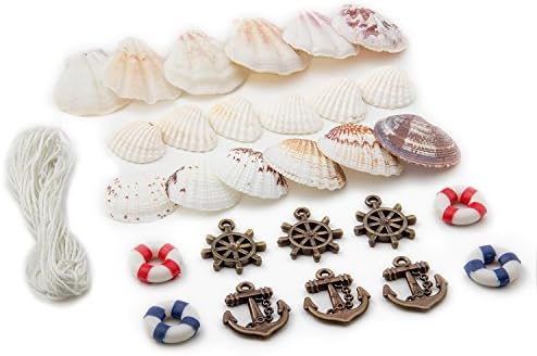 HAYATA Home Polished Sea Shells &amp; Nautical Decorations- Sizes 0.5" to 1.0" - Approx. 25 Beach Shells &amp; Nautical Decorations in Mixed Colors Good For Display Wall Decor Party Home Bedroom Decoratio