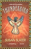 Front cover for the book Thunderbird by Susan Slater