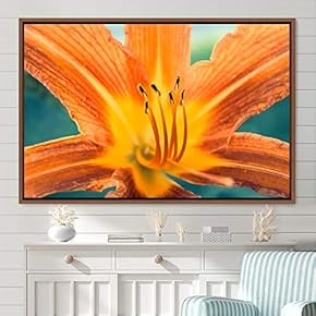 signwin Framed Canvas Wall Art Blooming Closeup Botanical...