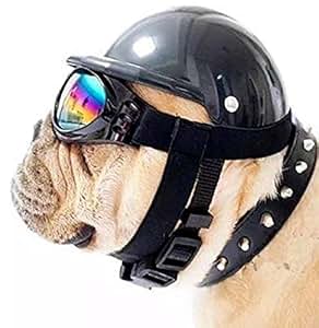 Pet Helmets for Motorcycles and Outdoor Activities with