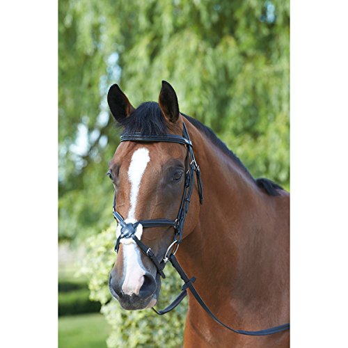 Mark Todd Padded Grackle Bridle Cob black