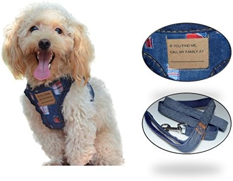 Dog Harness No Pull No Choke Dog Harness &amp; Leash Set for Small Dog, Adjustable, With Pet Tag, Perfect for Training, Walking Pawya (Large)