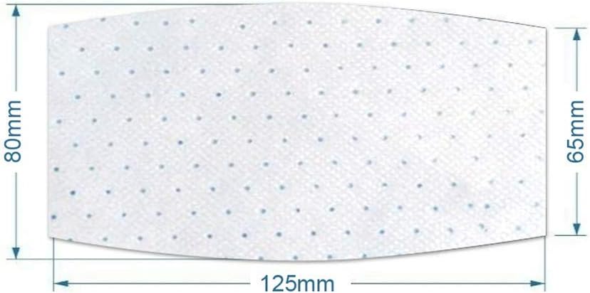 Flightbird 10pcs Flightbird Face Mask Filter Anti-Dust Mouth Masks PM2.5 N95 Face Mask Activated Carbon Breathing Filters for Adult and Children