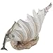 Dolphins Swimming Over Clam Shell with LED Light Color Changing Pearl Statue or Night Light for Decorative Artistic Sculptures in Tropical & Beach Decor As Gifts for Dolphin Lovers