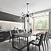 Light Society Meridia Sputnik 12-Light Chandelier Pendant, Matte Black, Mid Century Modern Industrial Starburst-Style Lighting Fixture (LS-C172-BLK)