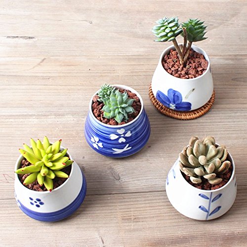Goldblue Ceramic Small Succulent Pots Blue and White Hand Painted Ceramic Succulent Planter Pots Cactus Plant Pot Flower Pot Container Planter(Four leaf clover)