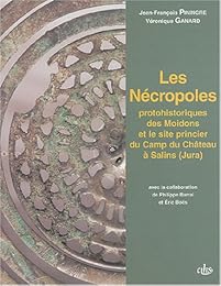 Les  nécropoles protohistoriques des Moidons et le site princier du Camp du Château à Salins, Jura