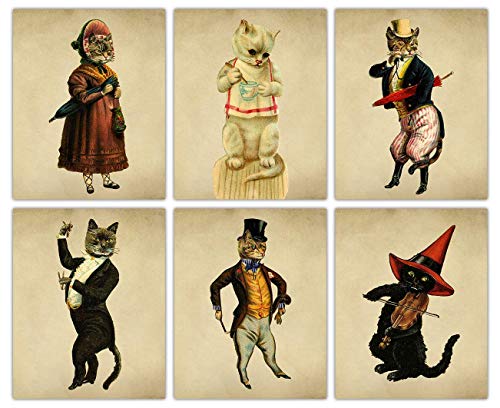 victorian cats in clothes