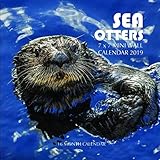 Sea Otters 7 x 7 Mini Wall Calendar 2019: 16 Month Calendar by Mason Landon