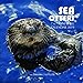 Sea Otters 7 x 7 Mini Wall Calendar 2019: 16 Month Calendar by Mason Landon