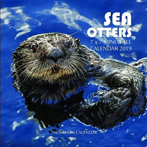 Sea Otters 7 x 7 Mini Wall Calendar 2019: 16 Month Calendar by Mason Landon