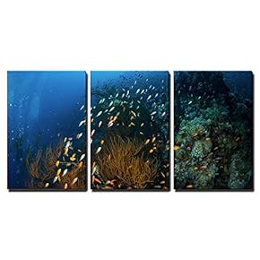 3 Piece Canvas Wall Art - Tropical Fish on Background of a Coral Reef - Modern Home Art Stretched and Framed Ready to Hang - 16"x24"x3 Panels