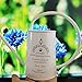 Calunce Mini White Iron Long Spout Watering Can for Decorative Purpose Watering Can, 17oz