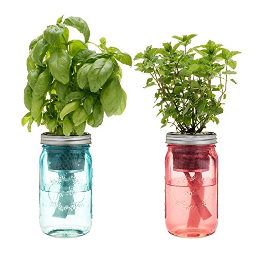 Indoor Herb Garden Starter Kit - Cocktail Inspired - Mint and Basil - 2 Self-Watering Herb Kits