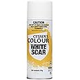 Citadel Spray Primer - White Scar - 9.5oz Can