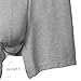 Separatec Men's 3 Pack Micro Modal Separate Pouches Comfort Fit Boxer Briefs (S,Gray)
