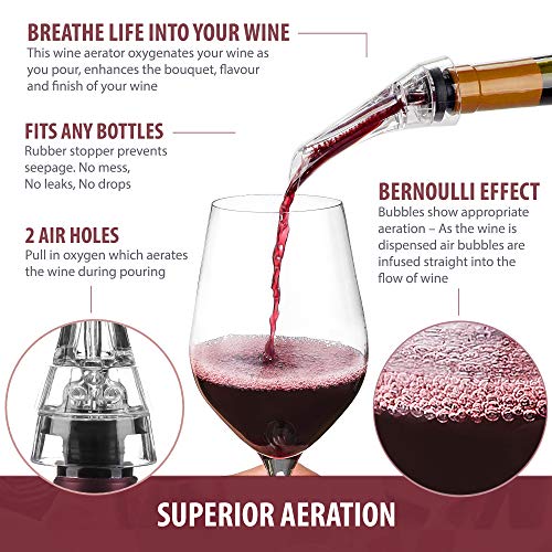 Wine Aerator - Luxury 2018 Aerator Wine Pourer - Wine Aerator Pourer - Wine Pourer - Wine Spout - Red White In Bottle Wine Aerator Kit - Slow Mini Wine Decanter Diffuser Aerator - eBook Wine Guide - Thumbnail 3