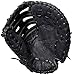 Rawlings Renegade Baseball/Softball Glove Series