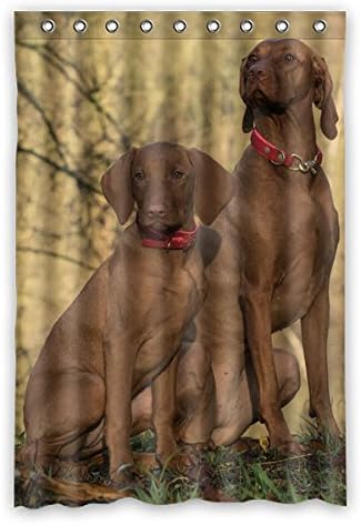 120 cm x 183 cm (48 "x 72") Bathroom Shower Curtain, Fun Dog Fashion Leisure Polyester Fabric Shower Curtain