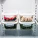 Premium Glass Meal Prep Food Storage Container (1, 1-Compartment (28 Oz))