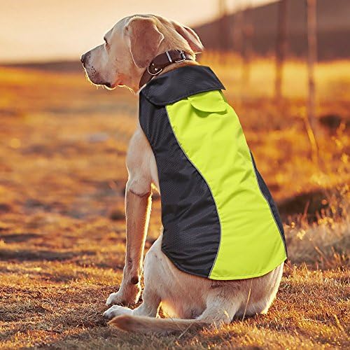 Illumifun Waterproof Dog Coat, Reflective Pet Jacket with Soft Fleece Lining, Cold Weather Dog Apparel Clothing for Small Medium Large Dogs