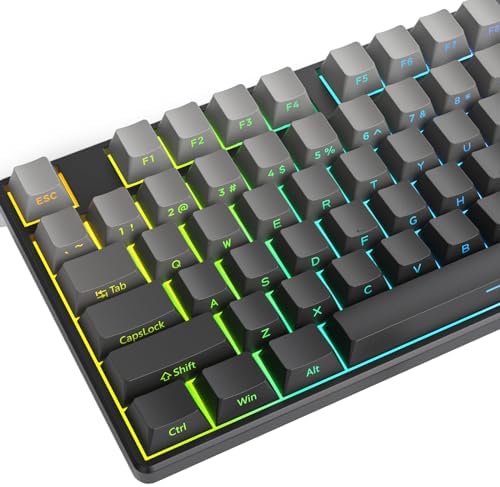 Amazon.com: YMDK 133 Key Polar Day PBT Double Shot Side-lit Shine 