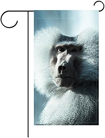 YourPink Garden Flag Monkey Baboon Muzzle Fluffy 12x18 inches(Without Flagpole)
