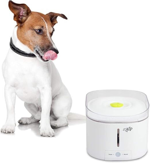 afp pet water fountain