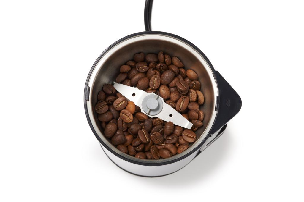 KRUPS GX4100 Electric Spice Herbs and Coffee Grinder with Stainless