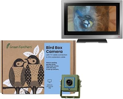 Green Feathers 700TVL Bird Box Camera Outdoor Night Vision 940nm Infrared 20m