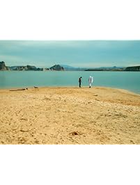 The Impossible Astronaut