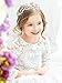 Yean Babys Breath Hair Piece Wedding Hair Vine Silver Rhinestone Headband Bridal Branch Crystal Wreath Crown Bridal Flower Vine Accessories for Bride and Bridesmaid (Silver)