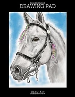 Amazoncom How To Draw Horses 9781844483723 Eva Dutton