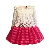 WEONEDREAM Baby Girls' Party Dress with Long Sleeves Striped Crochet Flower Patchwork 2T (100, white hot pink)