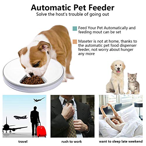 6 meal automatic pet feeder