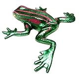 Surprise Frog Rubber