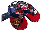 Boys Paw Patrol Summer Strap Sandals (Medium (7-8) M US Toddler)