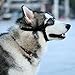 PETLESO Large Dog Goggles Eye Protection Pet Goggles Sunglasses for Medium Large Dogs- Black