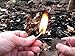 ETOPSTECH Crazy Shopping 5pcs Flint Metal Match Lighter, Lighter Fluid Permanent Matchbox, Waterpoof Fire Starter Keychain for Camping Outdoor, Boy Scouts …