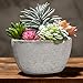 MyGift 7-Inch Assorted Artificial Succulent Plants in Rustic Textured Pulp Pot